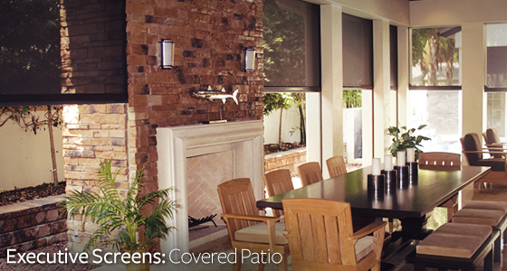 Executive Screens