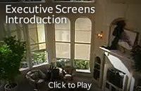 Executive Screens Introduction